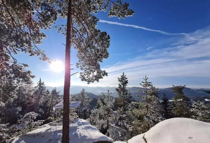 Aamiaismajoitus (B&B) Gästehaus Weitblick