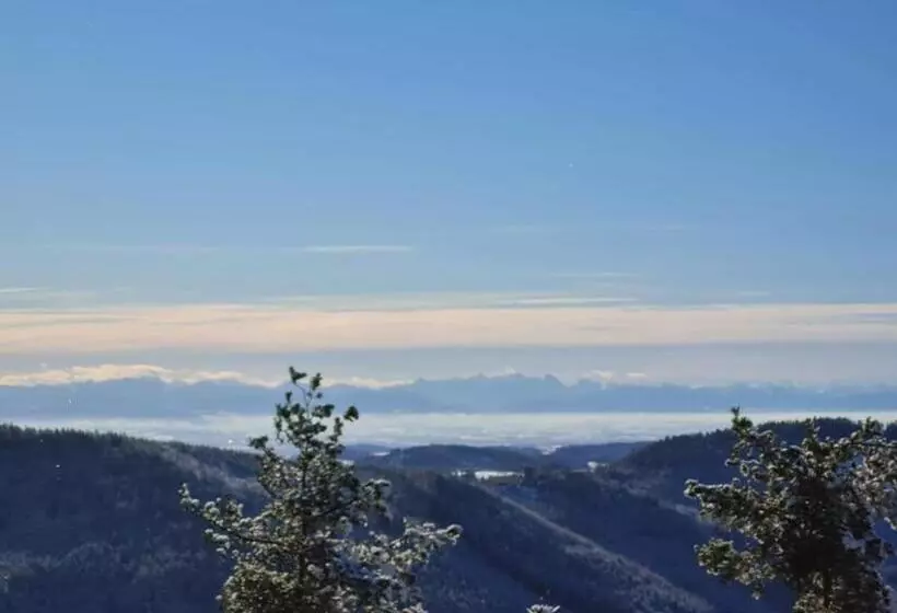 Aamiaismajoitus (B&B) Gästehaus Weitblick