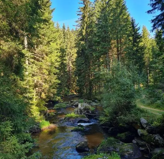 Aamiaismajoitus (B&B) Gästehaus Weitblick