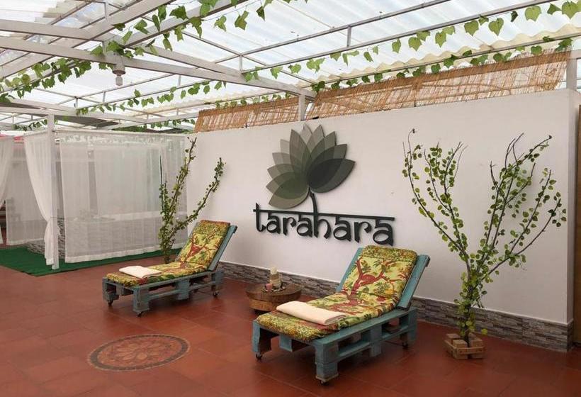 Kapsül Otel Tarahara Salud Y Bienestar