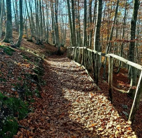 Hotelli Panorama