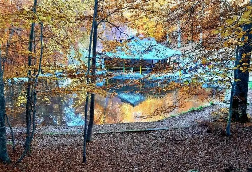 Hotelli Panorama