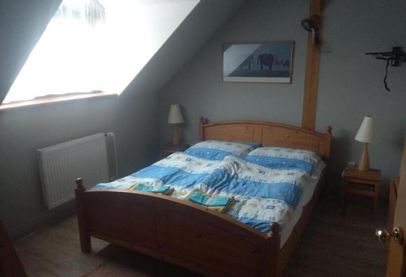 בית מלון כפרי Statek Olšany