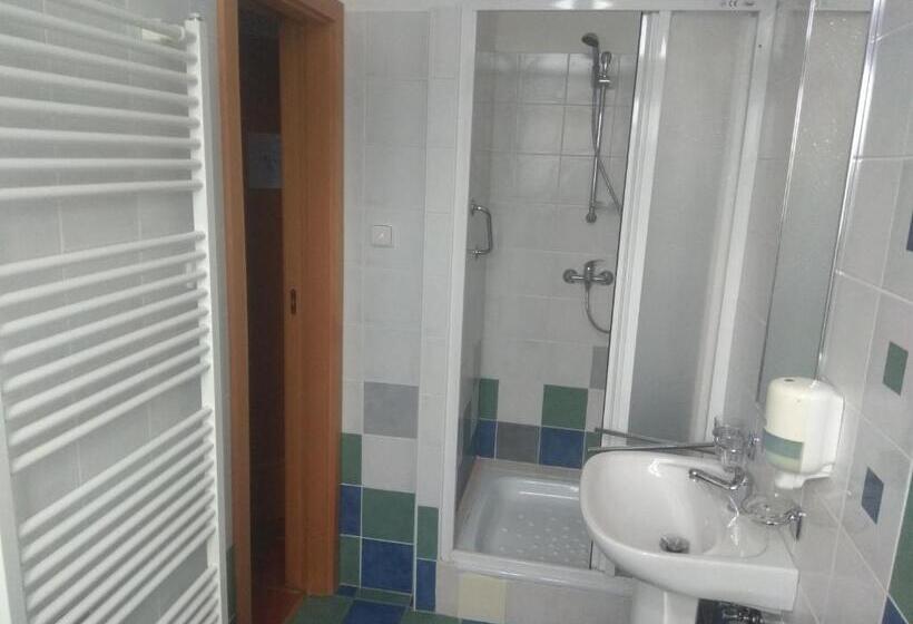 בית מלון כפרי Statek Olšany