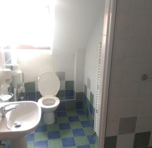 בית מלון כפרי Statek Olšany