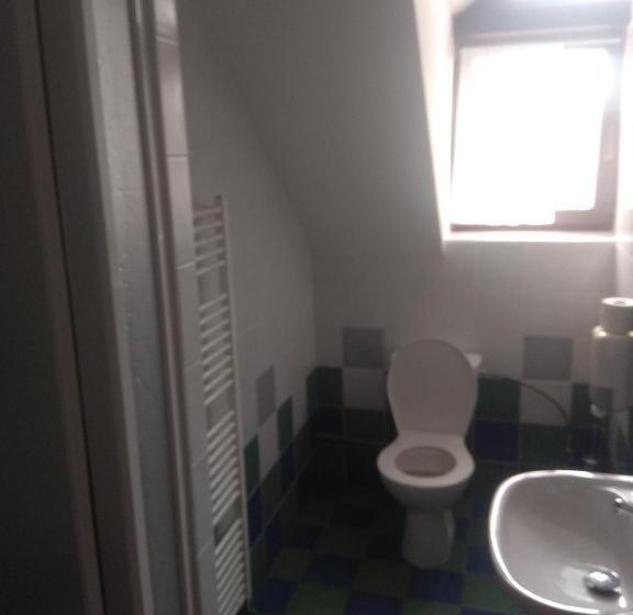 בית מלון כפרי Statek Olšany