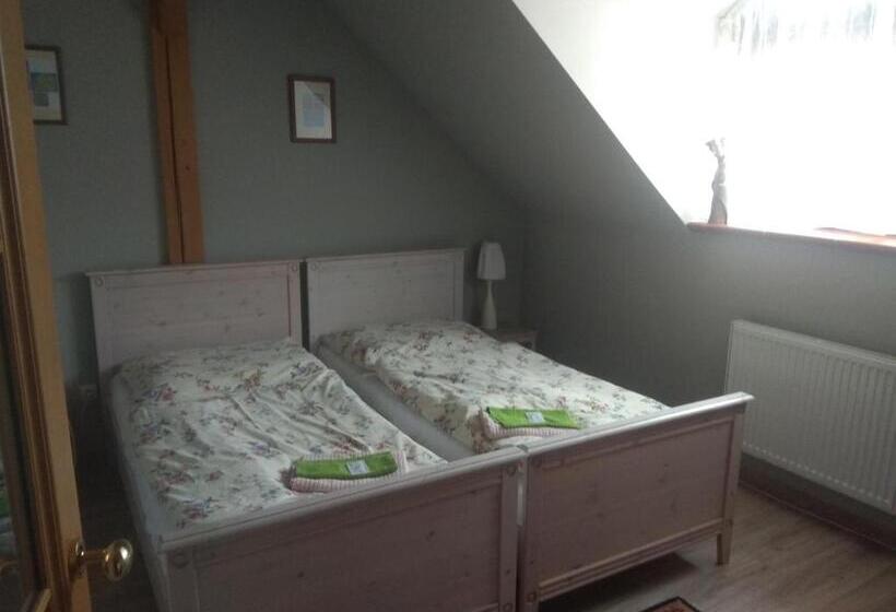 בית מלון כפרי Statek Olšany