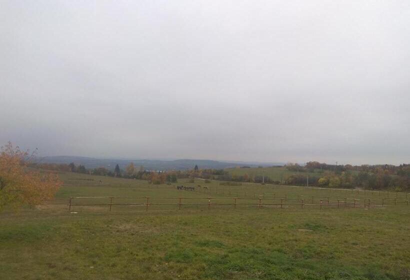 בית מלון כפרי Statek Olšany