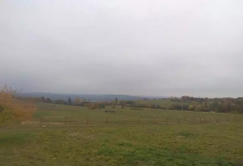 ホテル Statek Olšany