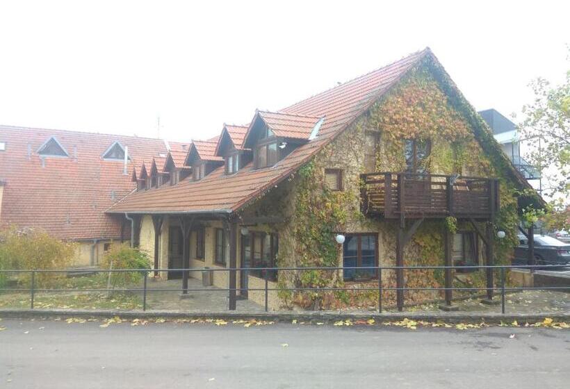 בית מלון כפרי Statek Olšany