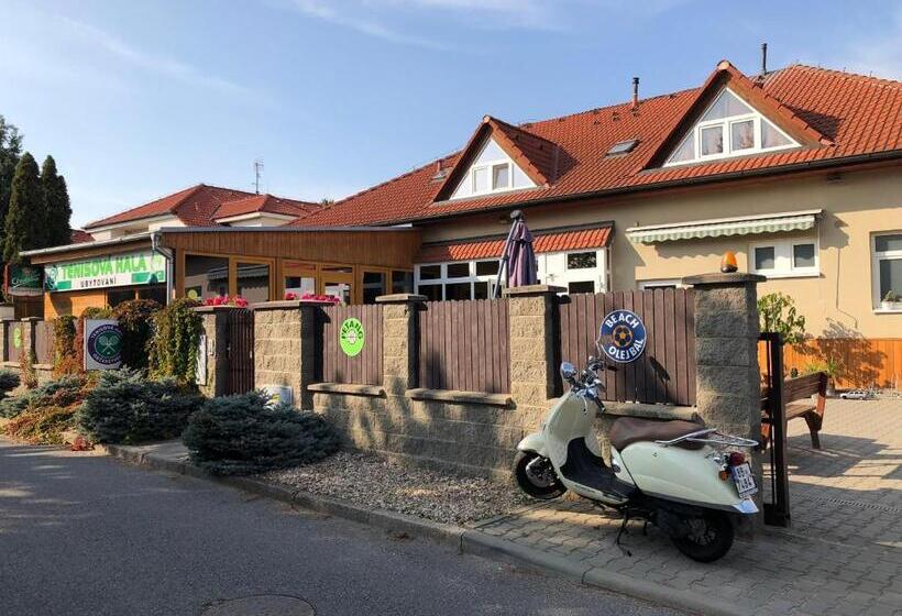 פנסיון Apartment Roci