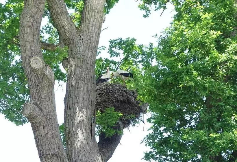 Majatalo Gästehaus Am Elberadweg By Hotel Alte Fischerkate