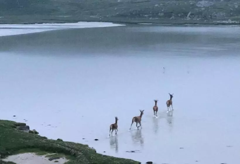 Seacroft Licensed B&b And Restaurant