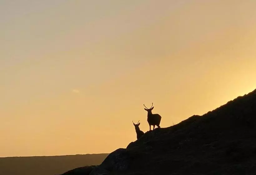 Seacroft Licensed B&b And Restaurant