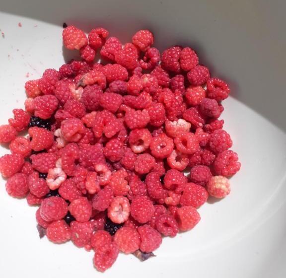 住宿加早餐 Borgo Gerbina Agriturismo & Azienda Agricola