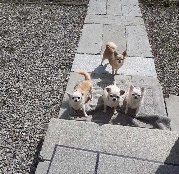 住宿加早餐 Borgo Gerbina Agriturismo & Azienda Agricola