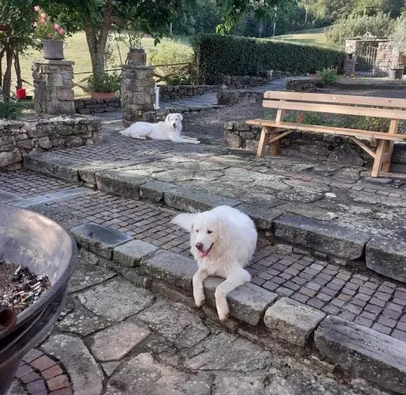 ベッドアンドブレックファースト Borgo Gerbina Agriturismo & Azienda Agricola