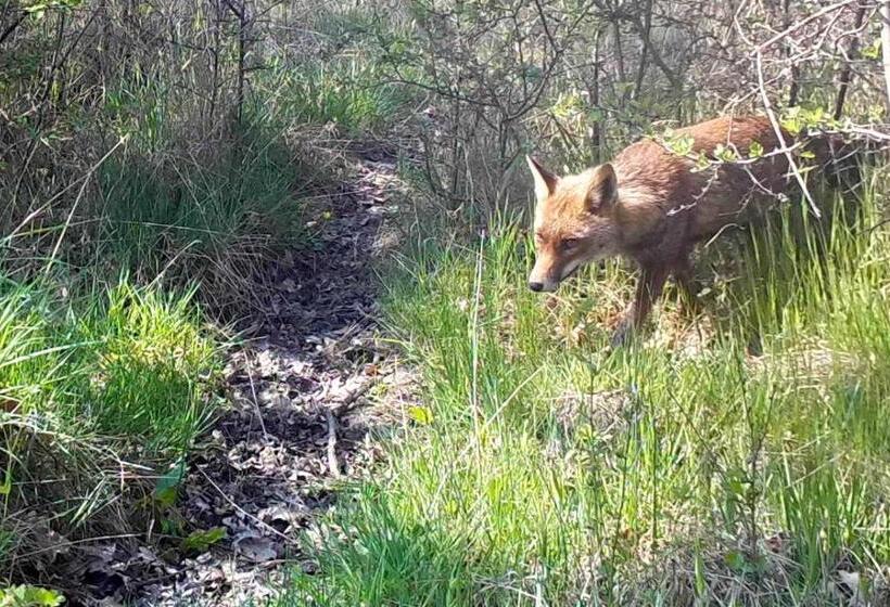 مبيت وإفطار Domaine Des Bois Argentés