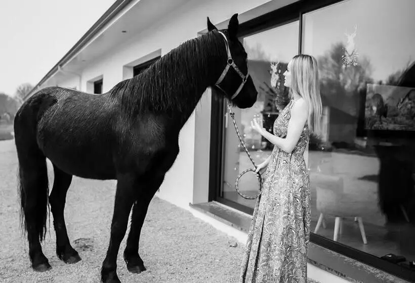 Aamiaismajoitus (B&B) Domaine Des Bois Argentés