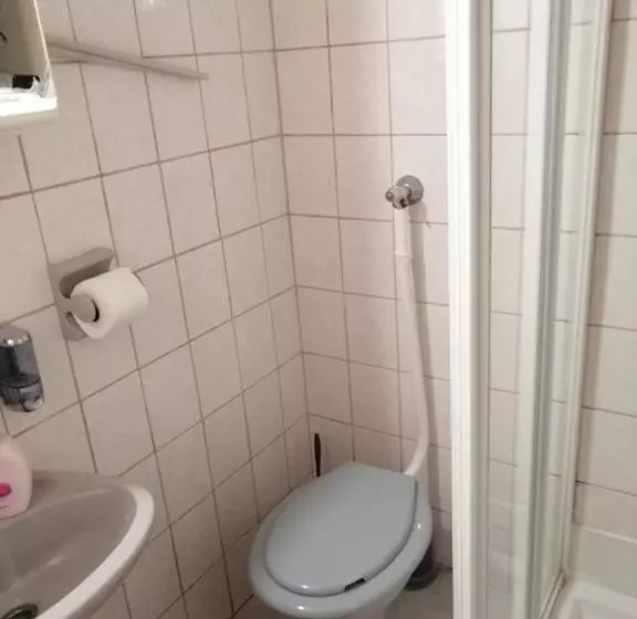 Aamiaismajoitus (B&B) Flamingó Panzió étterem