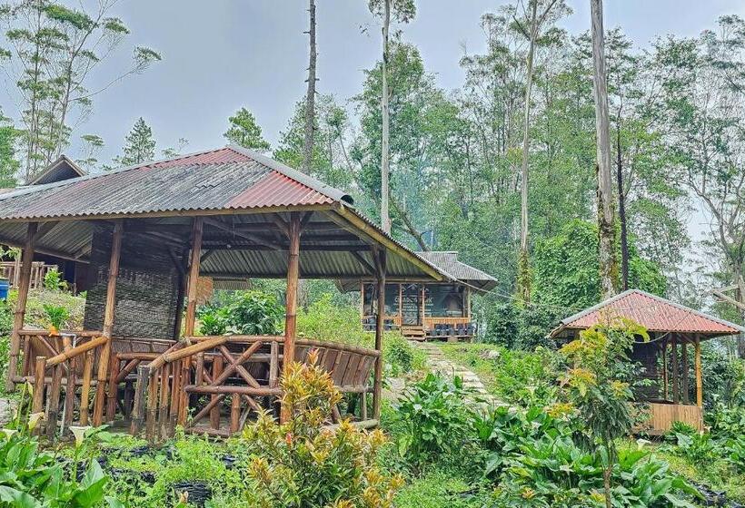 Hotel Cigadog Residence Mitra Reddoorz