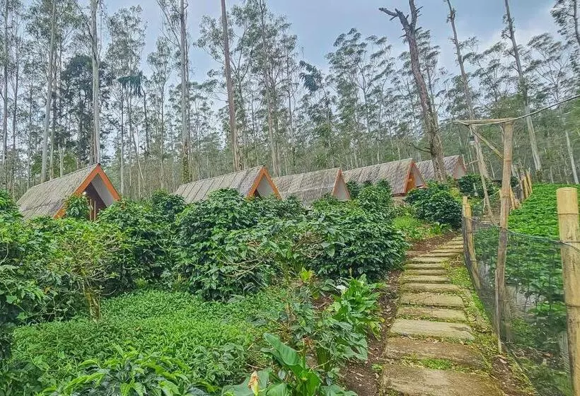 Hotelli Cigadog Residence Mitra Reddoorz