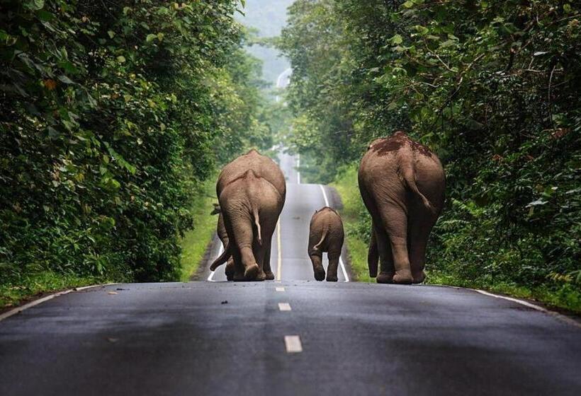 Szálloda Oyo 75317 Pintara Fahsai Resort