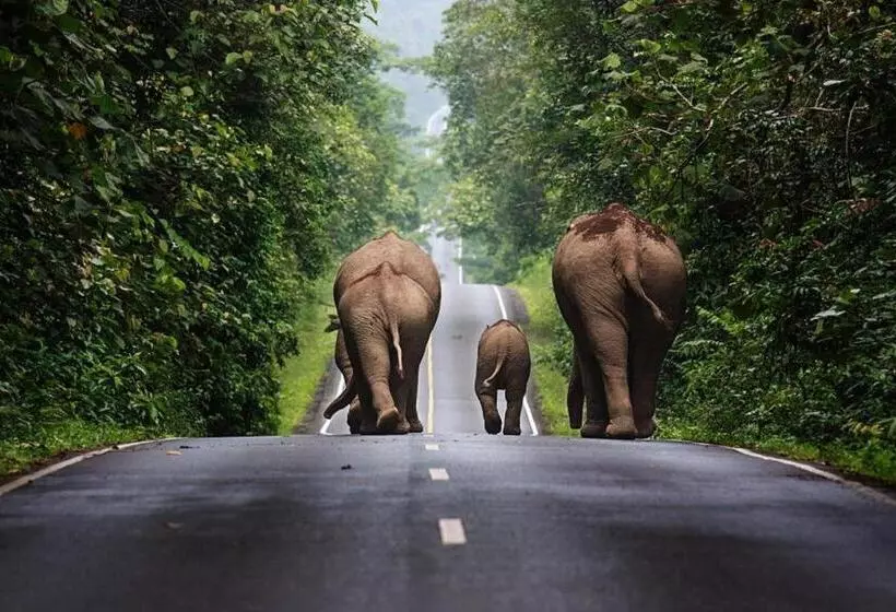 ホテル Oyo 75317 Pintara Fahsai Resort