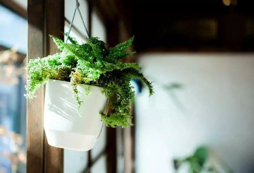 ペンション 長瀞nemaki