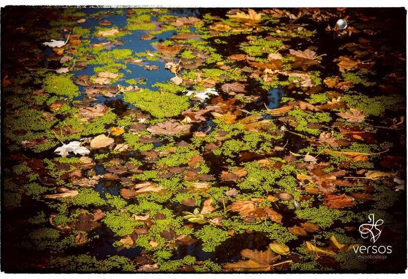 酒店 Abadía San Martín