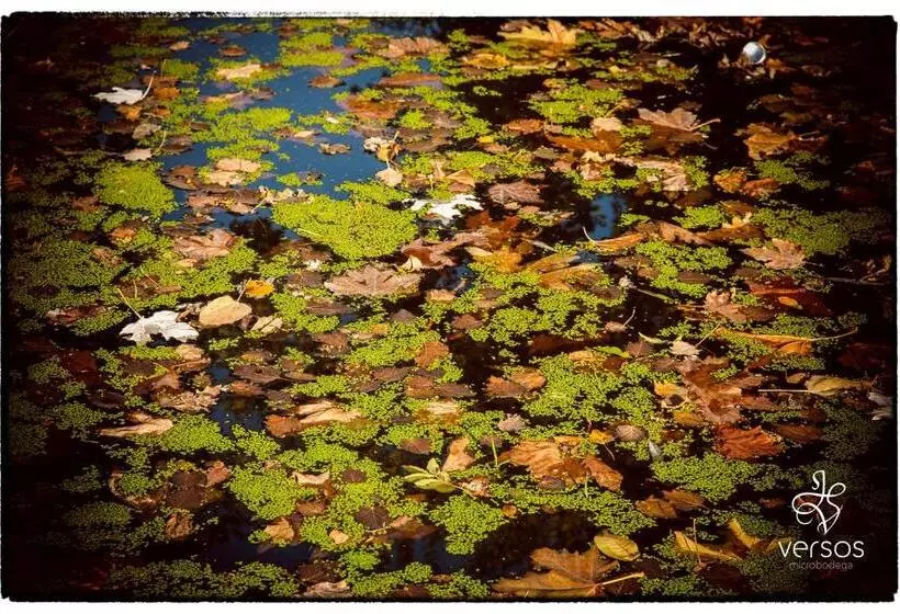 Отель Abadía San Martín