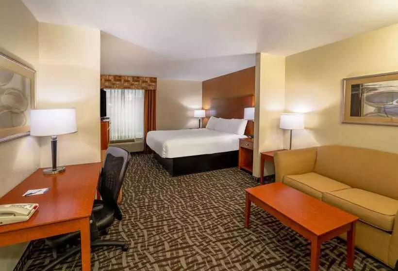 酒店 Baymont By Wyndham Savannah South