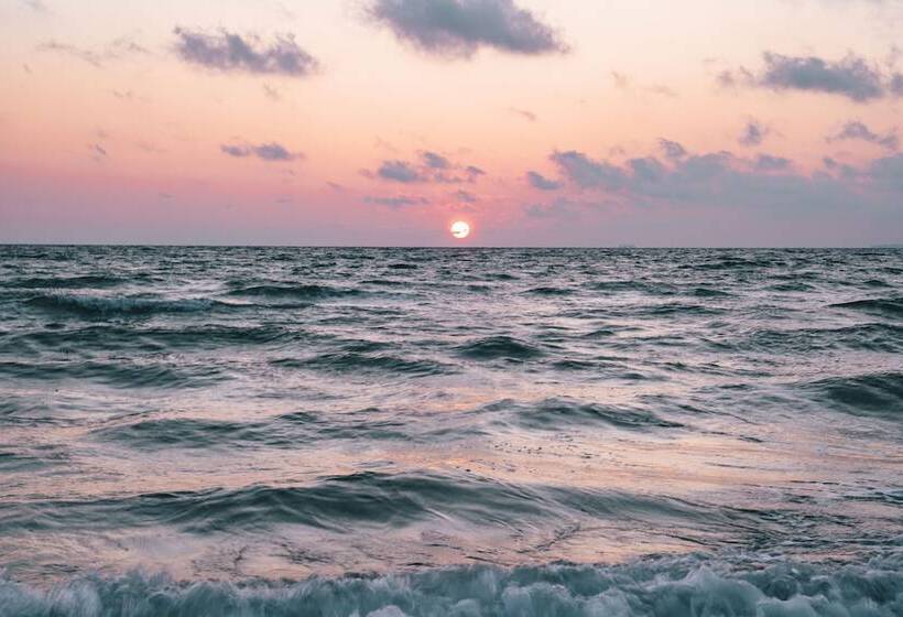 ホテル Gran Belveder & Ostsee Therme Resort & Spa