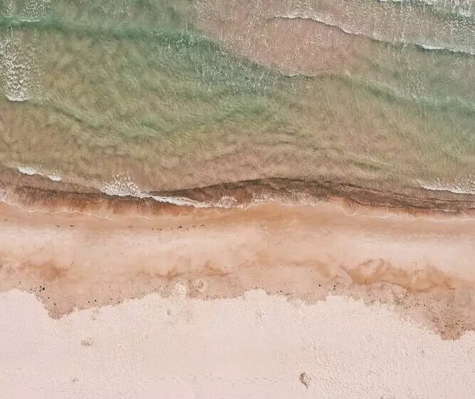 Отель Gran Belveder & Ostsee Therme Resort & Spa