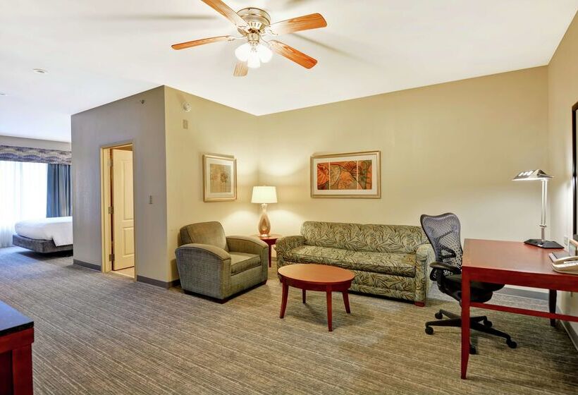 酒店 Hilton Garden Inn Conway