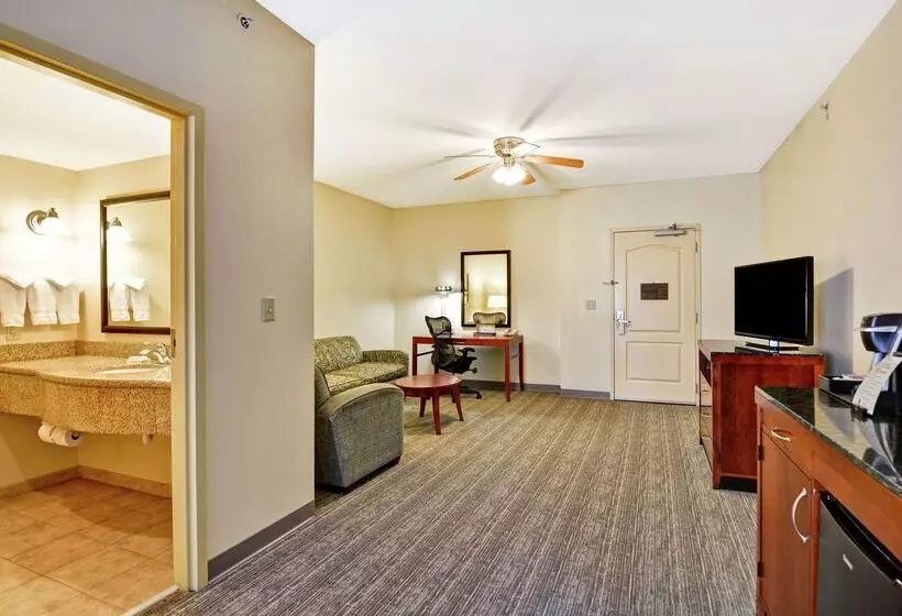 Otel Hilton Garden Inn Conway