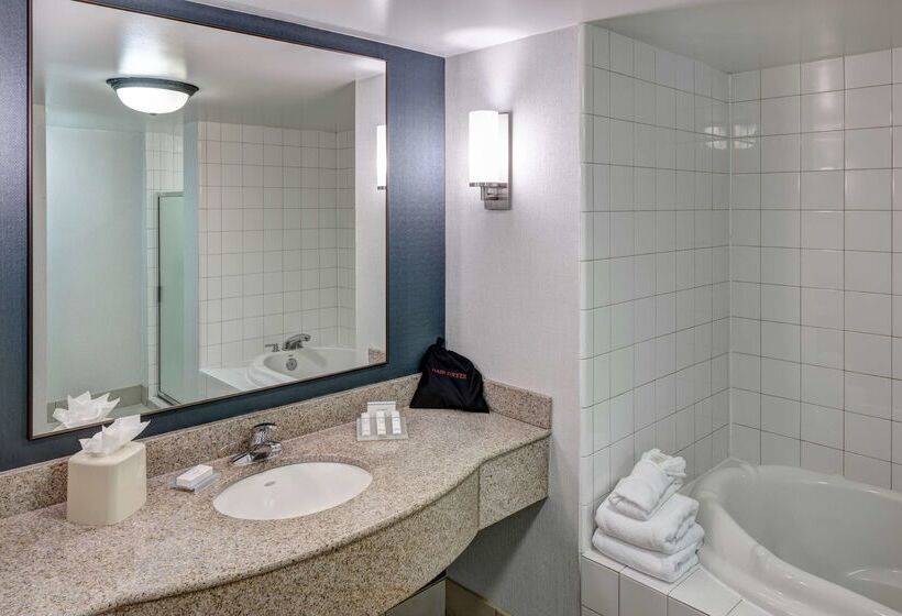 فندق Hilton Garden Inn Savannah Airport