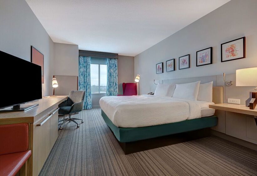 ホテル Hilton Garden Inn Tampa Northwest/oldsmar