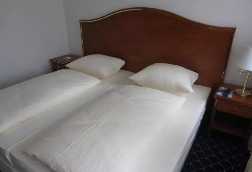 בית מלון כפרי Ludwig Im Park