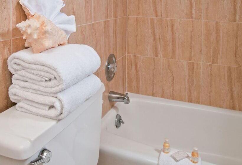 בית מלון כפרי Ocean Lodge