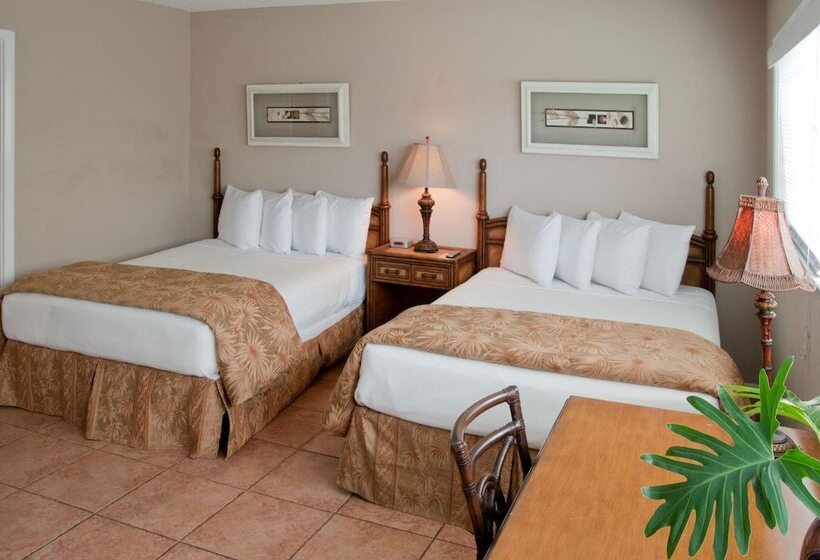 בית מלון כפרי Ocean Lodge