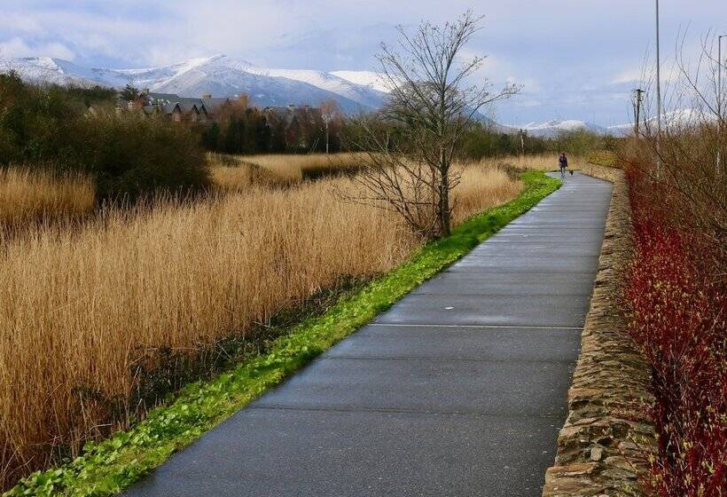 בית מלון כפרי The Rose