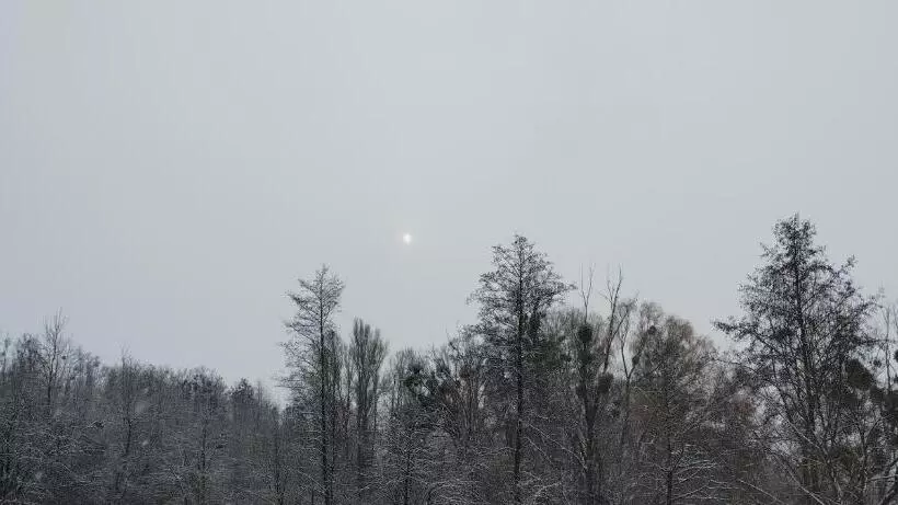 Retkeilymaja шафран