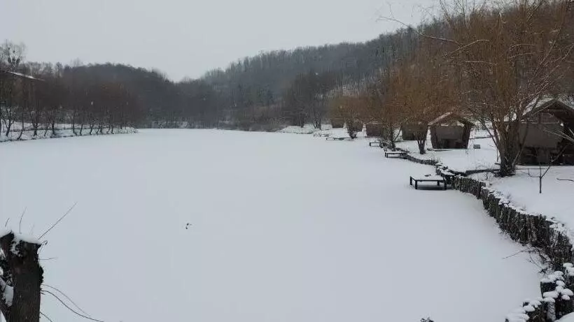 Retkeilymaja шафран