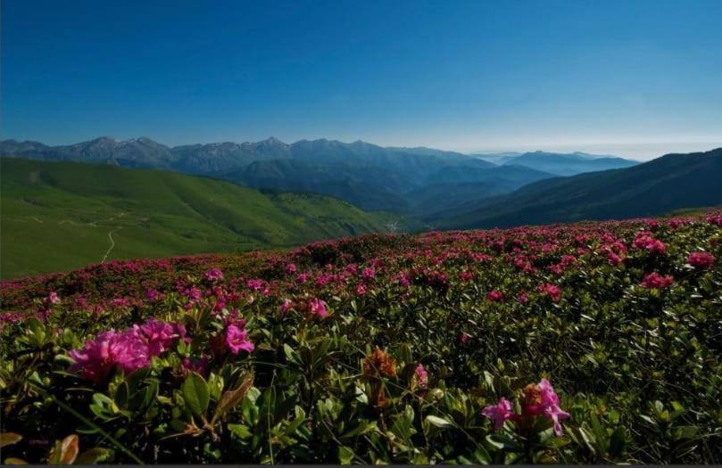 Bed and Breakfast Dolcemente