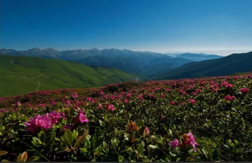 Aamiaismajoitus (B&B) Dolcemente