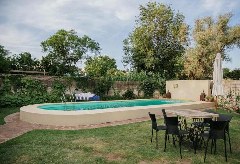 צימר Versión Moreno