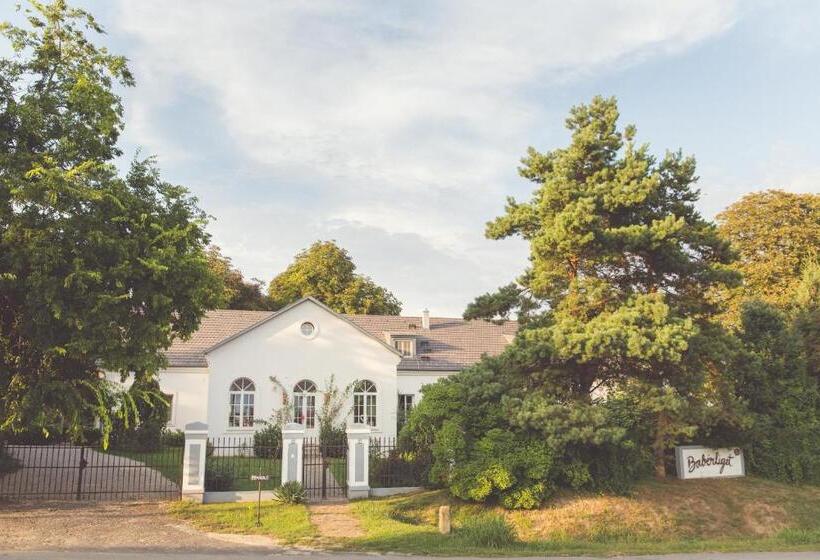 酒店 Babérliget Kúria Adults Only