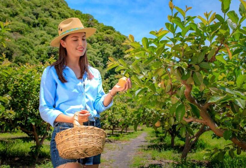 فندق Nukari Quinta Boutique