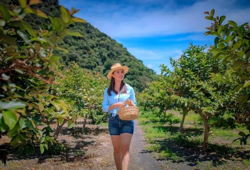 ホテル Nukari Quinta Boutique